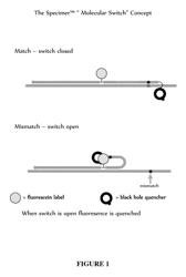 Methods of using oligonucleotides comprising a molecular switch