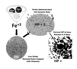 NOVEL FORMULA OF IRON BASED NANOCOMPOSITES FOR RAPID AND EFFICIENT TREATMENT OF IRON DEFICIENCY ANEMIA