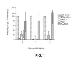 GENE EDITING FOR HIV GENE THERAPY