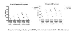 Novel Vaccines Against Multiple Subtypes Of Dengue Virus