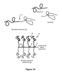 MICROPHASE SEPARATION OF BLOCK COPOLYMER BOTTLEBRUSHES