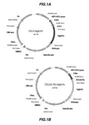 Chemokine-immunoglobulin fusion polypeptides, compositions, method of making and use thereof