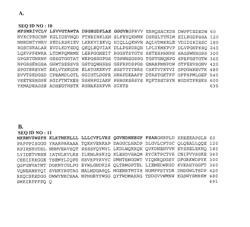 Citrulline peptides derived from fibrin and recognized by rheumatoid arthritis specific autoantibodies, and the use thereof