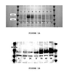 Polypeptides having cellulase activity