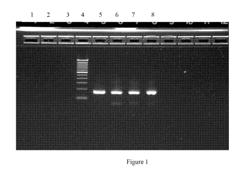 Integrated capture and amplification of target nucleic acid for sequencing