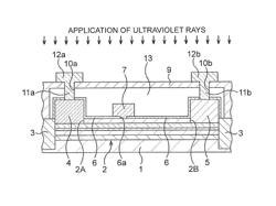 Semiconductor device with plural electrodes formed on substrate