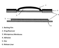 TRANSDERMAL FORMULATIONS OF LAQUINIMOD