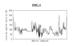 Composition Containing Extracts of the Fruit of Hovenia Dulcis THUNB as an Active Ingredient for Preventing and Treating Bone Diseases