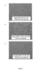 PHARMACEUTICAL COMPOSITIONS COMPRISING MONOTERPENES