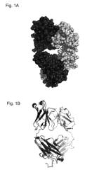 Anti-IL-17A antibodies and their use in treating autoimmune and inflammatory