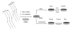 POLY(METHYL METHACRYLATE)-SUPPORTED POLYDIACETYLENE FILMS AS COLORIMETRIC AND/OR FLUORESCENT DETECTORS