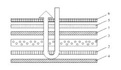 Display Device