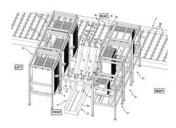 Plate-shaped member transfer facility