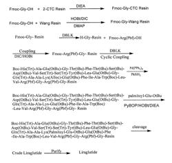 Method for solid phase synthesis of liraglutide