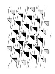 ON-CHIP MICROFLUIDIC PROCESSING OF PARTICLES