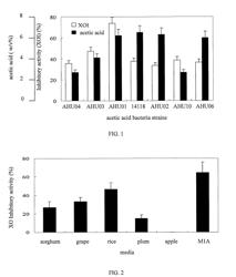 NOVEL ACETOBACTER AND GLUCONACETOBACTER STRAINS AND THEIR METABOLITES FOR USE IN INHIBITING XANTHINE OXIDASE