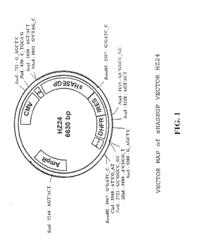 SOLUBLE GLYCOSAMINOGLYCANASES AND METHODS OF PREPARING AND USING SOLUBLE GLYCOSAMINOGLYCANASES