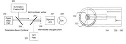 Compact multimodality optical coherence tomography imaging systems having a ring of optical fibers in image capture path