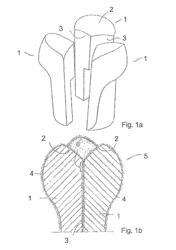 Preform produced by electrospinning, method for producing the same and use of such a preform