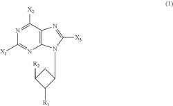 Cyclobutyl purine derivative, angiogenesis promoting agent, lumen formation promoting agent, neurocyte growth promoting agent, and drug