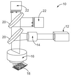 Spatially correlated light collection from multiple sample streams excited with a line focused light source