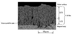 Corrosion-resistant magnet and method for producing the same