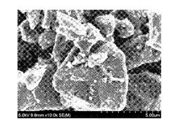 Anode active material for lithium secondary battery, lithium secondary battery comprising the same, and method of preparing the same