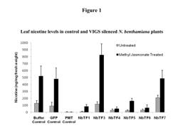 NUCLEIC ACID SEQUENCES ENCODING TRANSCRIPTION FACTORS REGULATING ALKALOID BIOSYNTHESIS AND THEIR USE IN MODIFYING PLANT METABOLISM