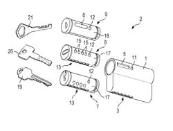 CYLINDER BODY FOR A CYLINDER FOR LOCKS