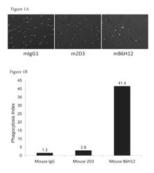 Methods for Determining Responsiveness to an Anti-CD47 Agent