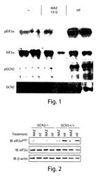 Halofuginone analogs for inhibition of tRNA synthetases and uses thereof