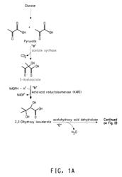 Fermentive production of isobutanol using highly active ketol-acid reductoisomerase enzymes