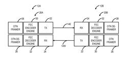 PRECISION TIME TRANSFER SYSTEMS AND METHODS IN OPTICAL NETWORKS