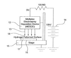 Multiplexed electrospray deposition apparatus