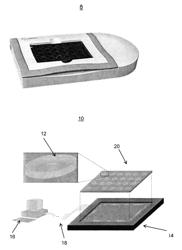 Apparatus and methods for high throughput network electrophysiology and cellular analysis