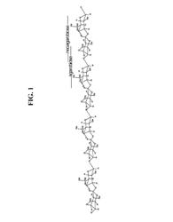 Alpha-neoagarobiose hydrolase and method for obtaining a monosaccharide using same