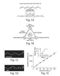 Bent nanowires and related probing of species