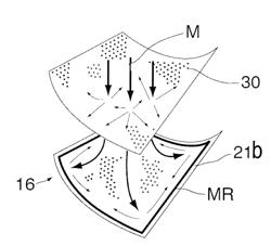 ABSORBENT GARMENT