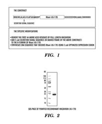 MODIFIED BIOTIN-BINDING PROTEIN, FUSION PROTEINS THEREOF AND APPLICATIONS