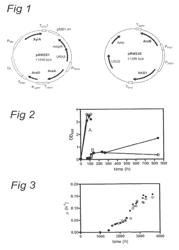 Metabolic engineering of arabinose-fermenting yeast cells