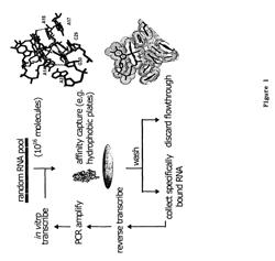 Methods for identifying aptamer regulators