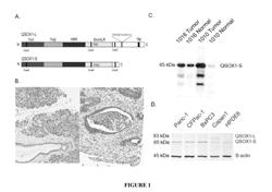 QSOX1 as an Anti-Neoplastic Drug Target