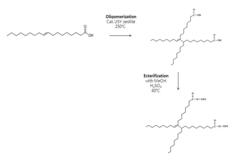 Lube Base Oil Comprising X-Type Diester Acid Dimer and Method for Preparing the Same