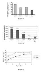 Beta-glucosidase variants having improved activity, and uses thereof