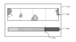 System and Method for Display of Capsule Images and Associated Information