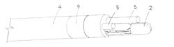 CATHETER FOR OPTICAL BIOPSY