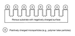 Functionalized substrates with ion-exchange properties