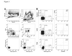 DETECTION OF GLUTEN-SPECIFIC T-CELLS