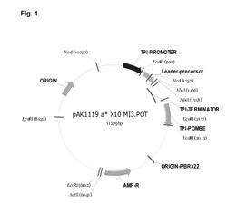 Method for Making Mature Insulin Polypeptides