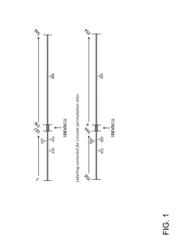 MUTANT PROTEASE BIOSENSORS WITH ENHANCED DETECTION CHARACTERISTICS